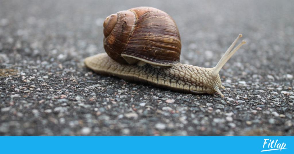 Kas mul on aeglane ainevahetus