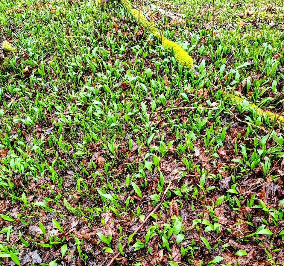 10 aastat ja 655 postitust